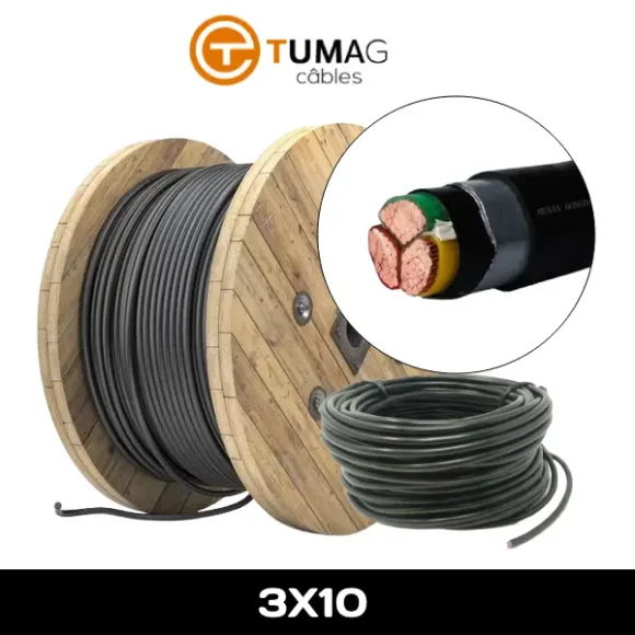 Câble armé RVFV cuivre  3x10mm² U1000 TUMAG